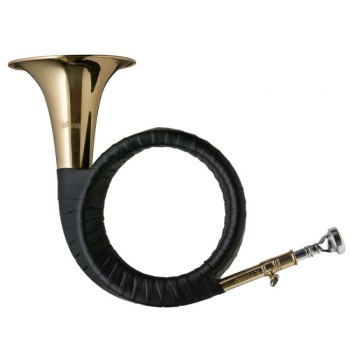 STAGG B-Fürst-Plesshorn inkl. Tasche
